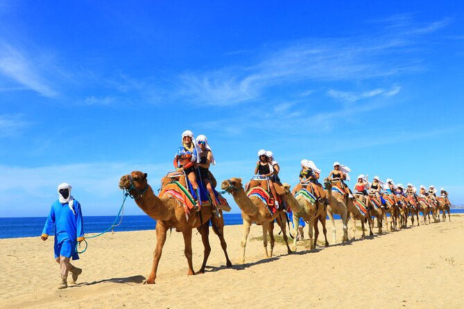 Camel riding experience on the shores of the Pacific Ocean - After the Ride: Bathroom Break, Quesadillas, and Water