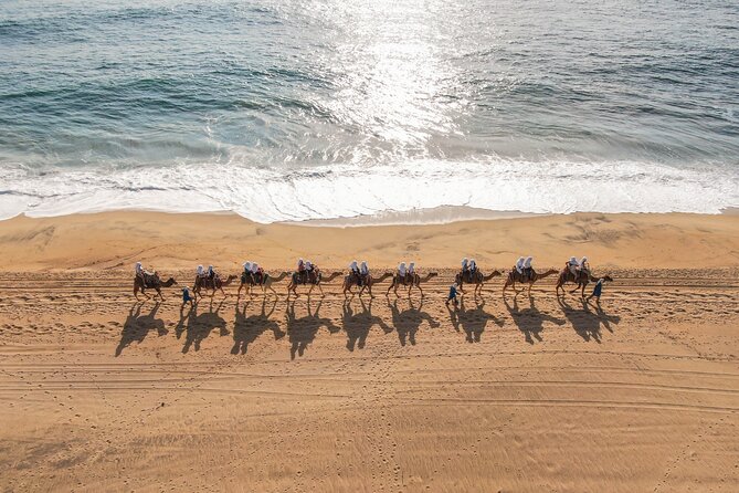 Camel riding experience on the shores of the Pacific Ocean - Who This Camel Ride Is Best For (and who should reconsider)
