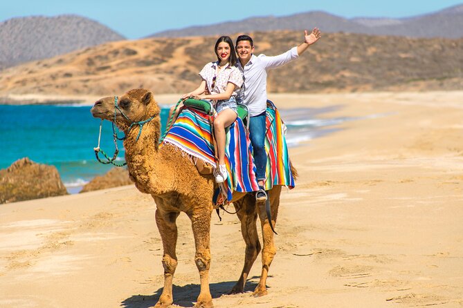 Camel riding experience on the shores of the Pacific Ocean - What the 2-Hour Adventure Really Means for Your Day