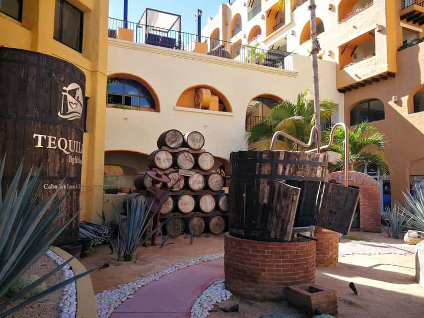 City Tour to Cabo San Lucas and Transparent boat to the Arch - Glass-Blowing Factory and Tequila Tasting: How Art Gets Made