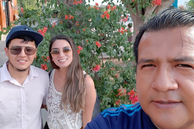 City Tour Todos Santos and Tequila Tasting - Price and value: $268.07 per group for a private day