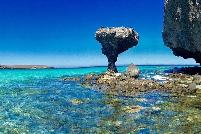 CityTour La Paz, Balandra beach and the Magic Town of Todos Santos - Balandra Beach and The Mushroom: your main event