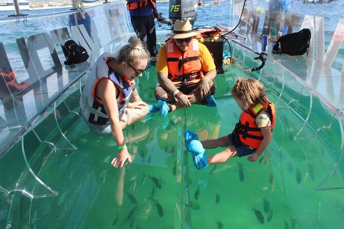 Clear Boat Ride with City Tour in Los Cabos - The Arch of Cabo San Lucas: Photos, Sea Lions, and the Sea of Cortez