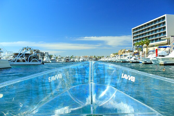 Clear Boat to Cabo Lands End, The Arch and more - El Arco at The Arch: birds, sea lions, and the best viewing angles