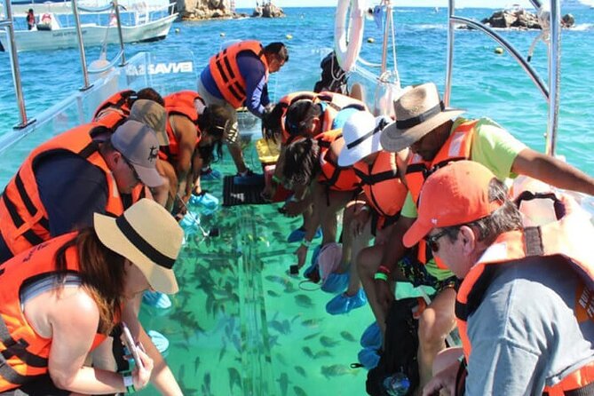 Clear Boat with City Tour - Clear-boat views over Cabo San Lucas, without the long day