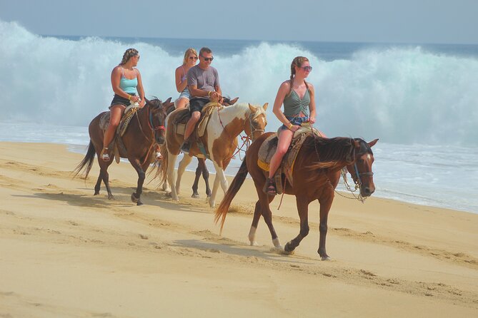 Combined ATV and Horseback Ride/Tequila Tasting - Playa Migriño Horse Ride: From Desert Trails to Shore Time