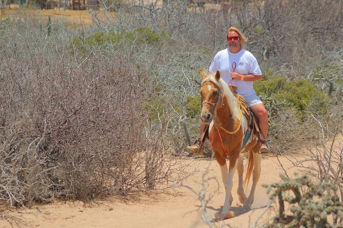 Combined ATV and Horseback Ride/Tequila Tasting - Stop 1 in San José del Cabo: A Short Setup Time