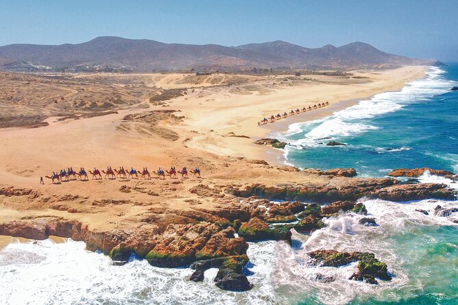 Combo 4x4 Automatic ATV and Camel Ride Tour in Cabo San Lucas - Food, Drinks, and the Tequila Tasting That Comes With It