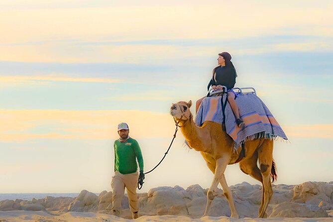 Combo 4x4 Automatic ATV and Camel Ride Tour in Cabo San Lucas - Guides Make (or Break) This Type of Tour