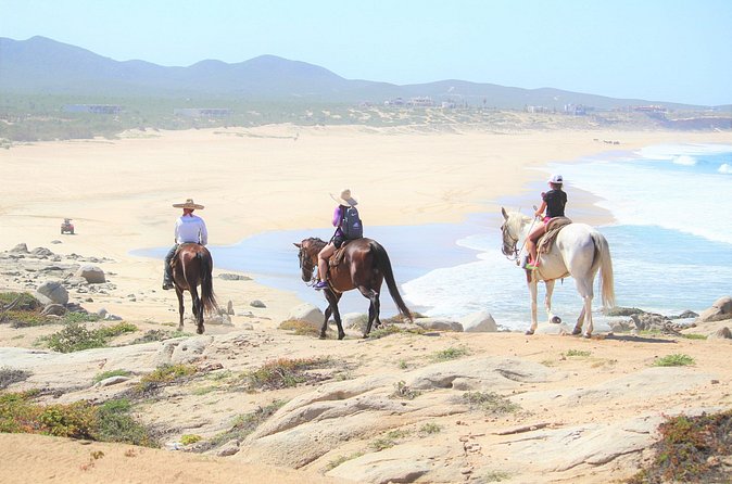Combo Adventure with RZR and ATV or HBR and Tequila Tasting - Horse option: great potential, with a few comfort and communication notes