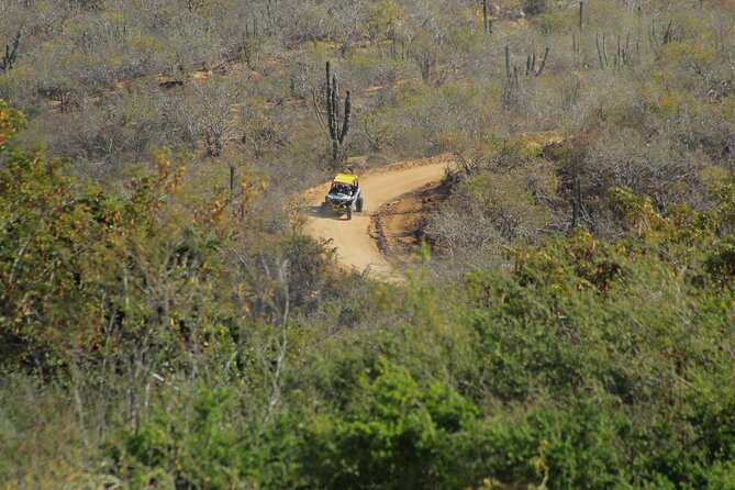 Combo Adventure with RZR and ATV or HBR and Tequila Tasting - Tequila tasting: what’s included, what to expect, and how to keep control of your spend