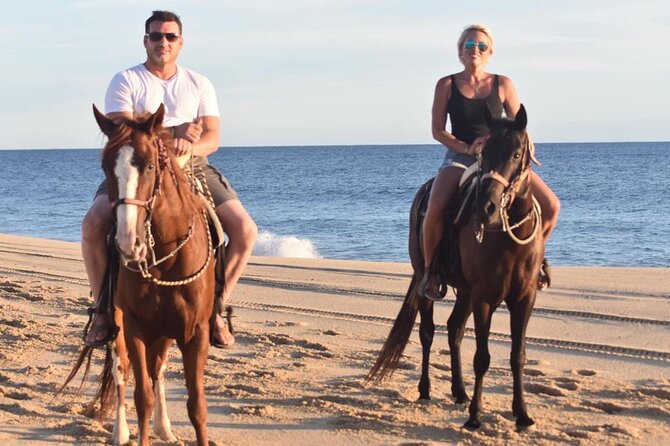 Combo Double Utv + Horses - Price and value: what $400 per group gets you