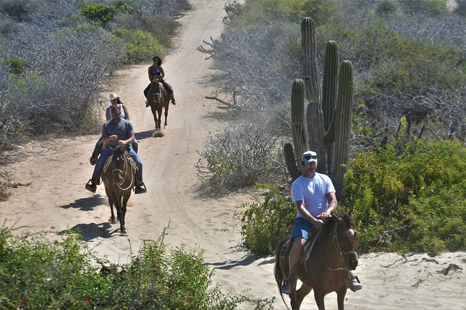 Combo Double Utv + Horses - Who should book this combo, and who should skip it