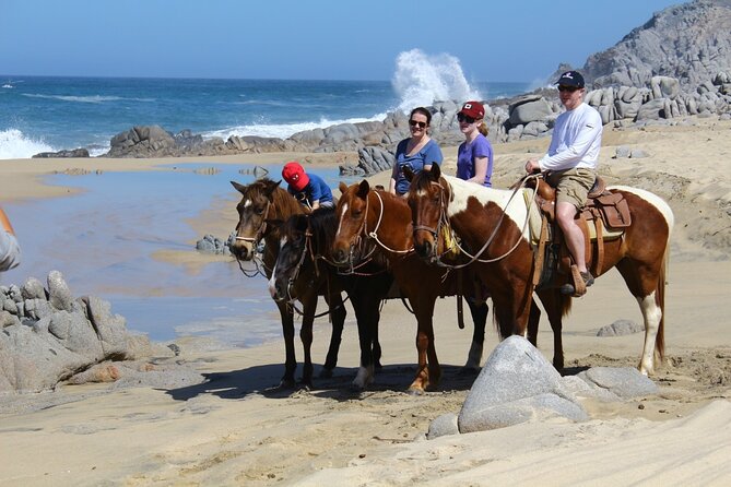 Combo Horseback Beach Ride & ATV Adventure. Tequila Tasting - Who this Cabo combo suits (and who should skip)