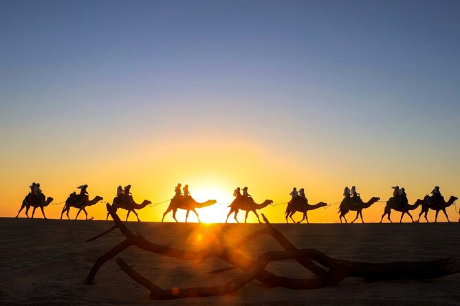 Combo Horseback Ride and Sky Bike in Cabo - Combo Overview: Horses, Sky Bikes, and an Off-Road Polaris Run