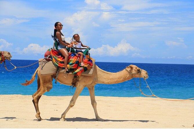 Combo Horseback Ride and Sky Bike in Cabo - Playa Migriño: Golden Sand Riding and Ocean Backdrops