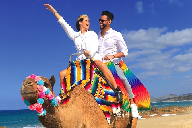 Combo Horseback Ride and Sky Bike in Cabo - Price and Value: What $125 Really Covers (Plus the $25 Park Fee)