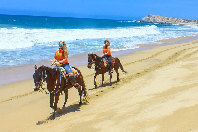 COMBO Horseback Riding & UTV Tour - Horse + UTV at G-Force Adventures: how this combo actually plays out