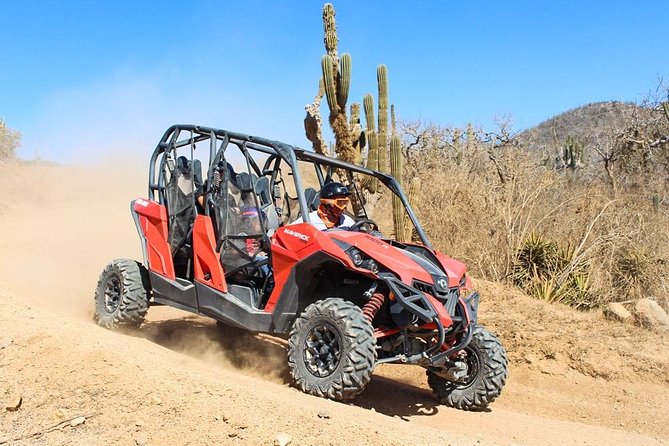 COMBO Horseback Riding & UTV Tour - Price and logistics: what $125 covers and what can cost extra