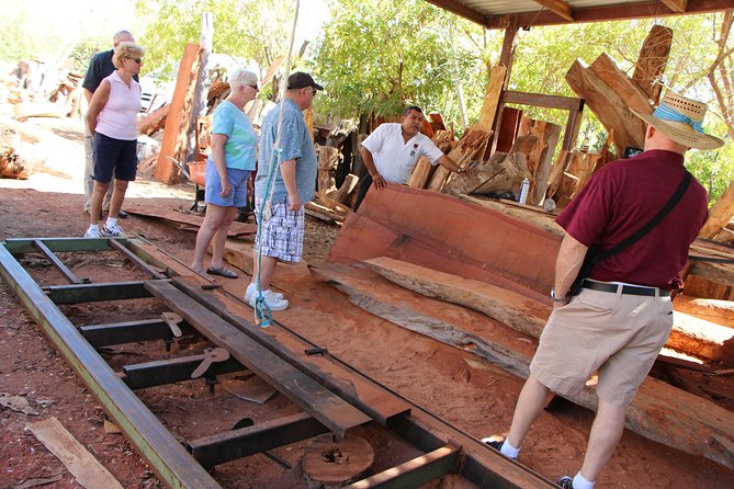 Cultural & Ecology, Nature & History of the hidden towns of Southern Baja! - Buena Vista: Thermal Waters, Natural Spring Power, and Olachea’s Hacienda