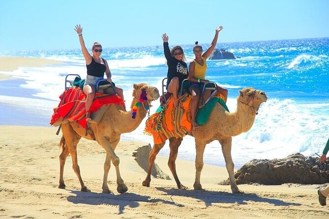 Day Pass Adventure in Los Cabos with Roundtrip Transport - Tequila tasting, lockers, and the small comforts that reduce stress