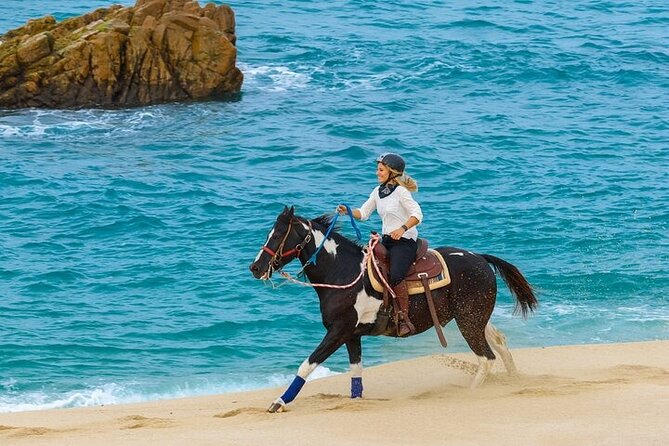 Day Pass Adventure in Los Cabos with Roundtrip Transport - Who this tour fits best (and who should think twice)