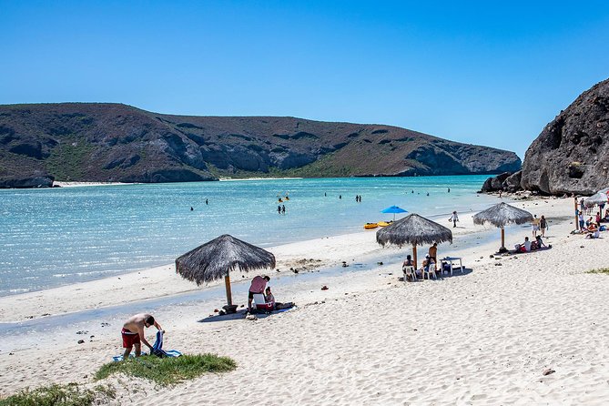 Day Trip to La Paz & Balandra Beach from Cabo San Lucas - Scenic Stops That Make the Drive Worth It: Tropic of Cancer, Barriles, and El Triunfo