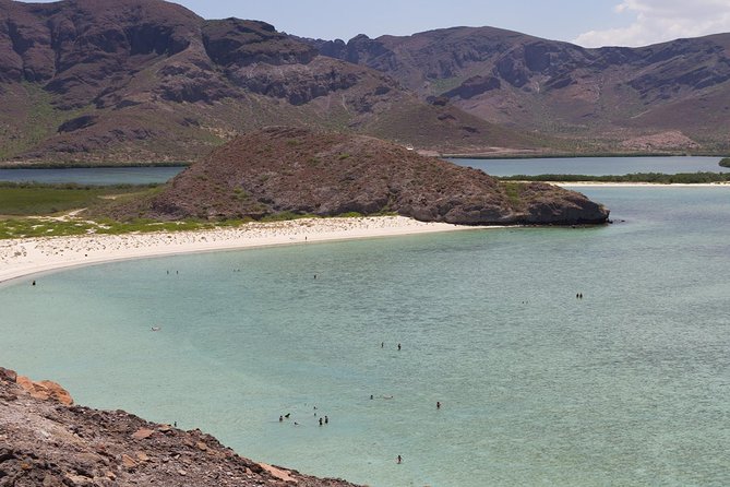 Day Trip to La Paz & Balandra Beach from Cabo San Lucas - Price and Value: what you get for $130, and what adds up