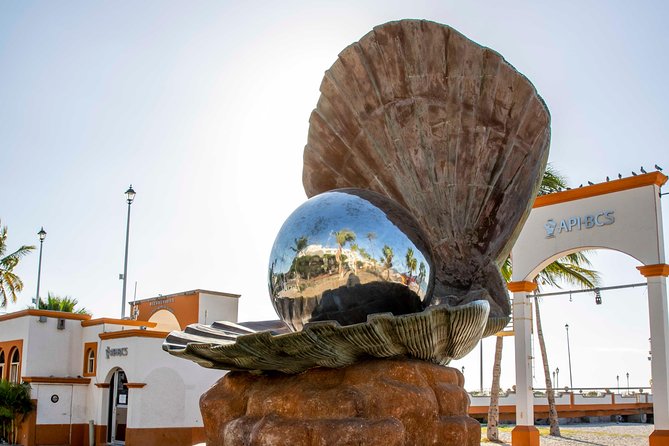 Day Trip to La Paz & Balandra Beach from Cabo San Lucas - Getting the Most Out of It: practical tips for a smoother day
