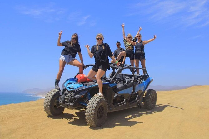 Desert and Beach Buggies Tour - Quick highlights