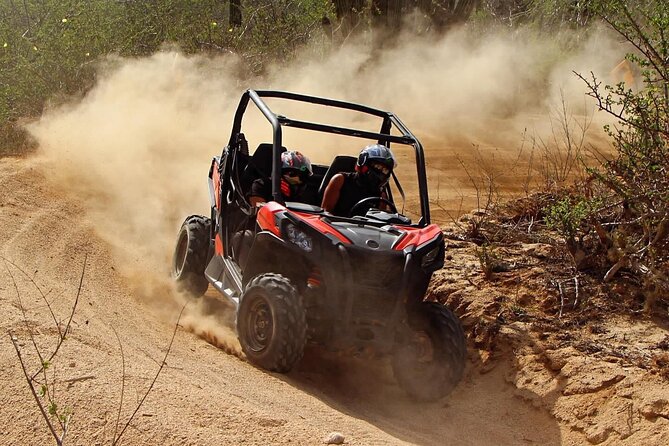Desert and Beach Buggies Tour - Safety and health limits: who should rethink this UTV day
