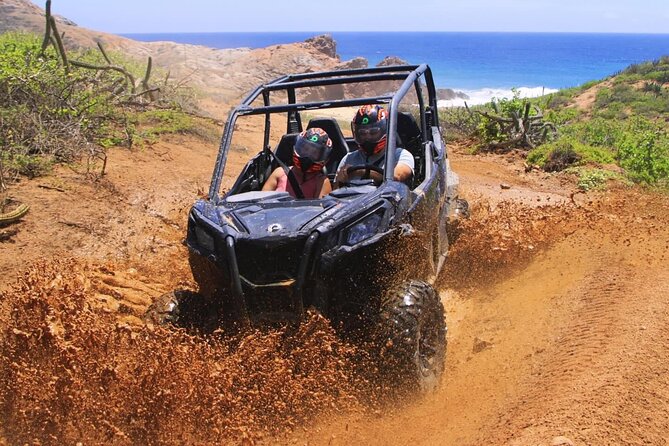 Desert and Beach Buggies Tour - Price and value: what $125.68 buys you (and what to budget)