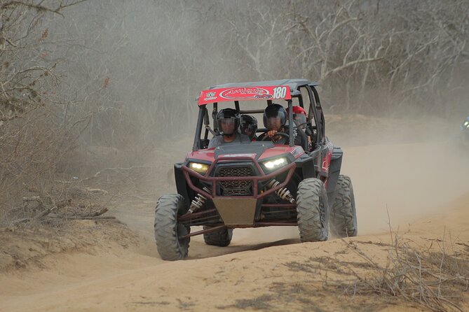 Desert and Beach UTV Adventure with Tequila Tasting - Playa Migrino: sand dunes, cliffs, and a real ocean payoff