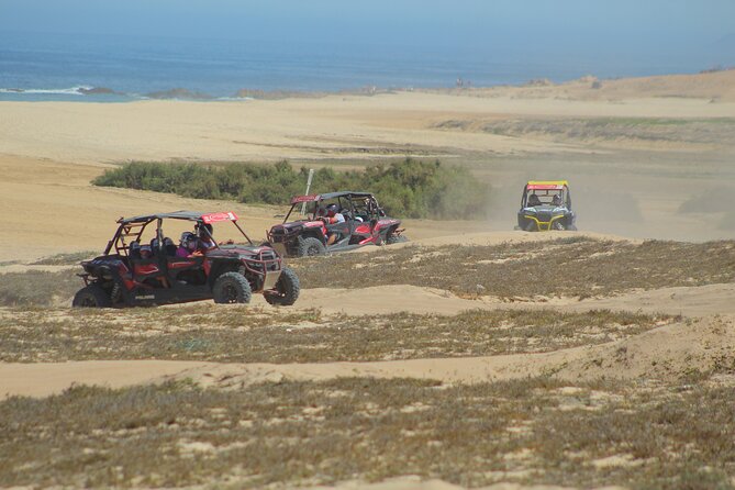Desert and Beach UTV Adventure with Tequila Tasting - Desert highlights: 180-year-old cactus, volcanic formations, and dry riverbeds