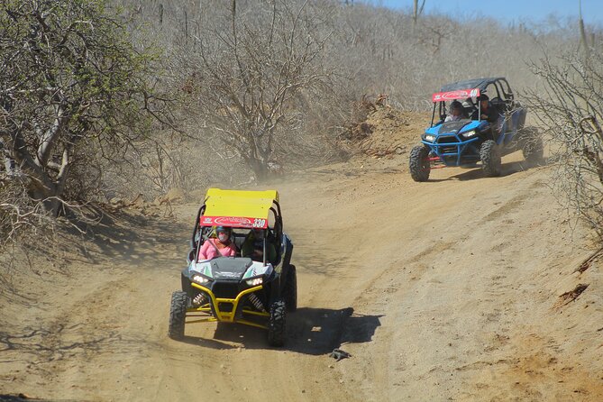 Desert and Beach UTV Adventure with Tequila Tasting - Price and value: $179.12 plus the $25 entrance fee