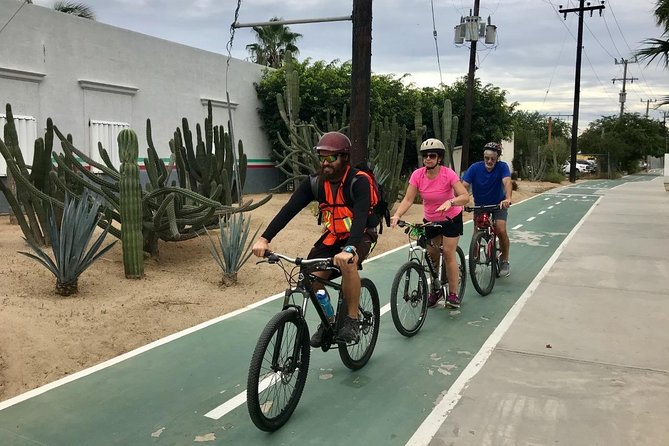 Desert Mountain Biking, fun and easy. - Key Points Worth Noticing