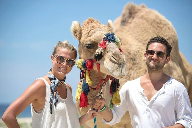 Desert & sea, Camel Safari tour in Los Cabos with lunch - Key points before you go
