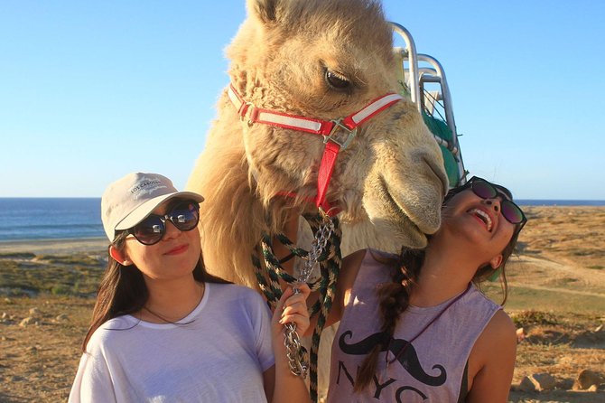 Desert & sea, Camel Safari tour in Los Cabos with lunch - Tierra Sagrada (Sacred Land) and the 90-minute camel ride