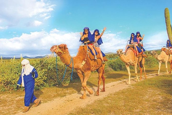 Desert & sea, Camel Safari tour in Los Cabos with lunch - Traditional Mexican lunch with handmade tortillas and spicy sauces