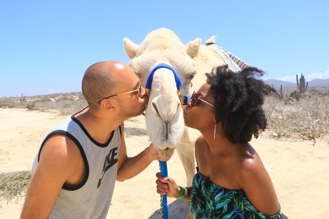 Desert & sea, Camel Safari tour in Los Cabos with lunch - Tequila, mezcal, and Damiana at the Pacific Ocean finish