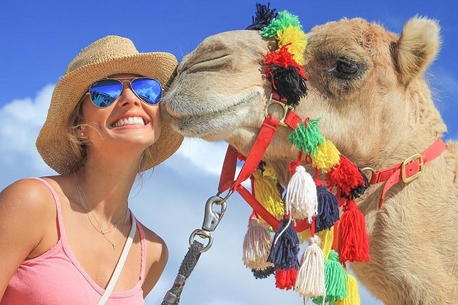 Desert & sea, Camel Safari tour in Los Cabos with lunch - Price and logistics: what you’re paying for (and what adds up)
