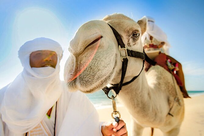 Desert & sea, Camel Safari tour in Los Cabos with lunch - Who this camel safari fits best (and who should skip it)