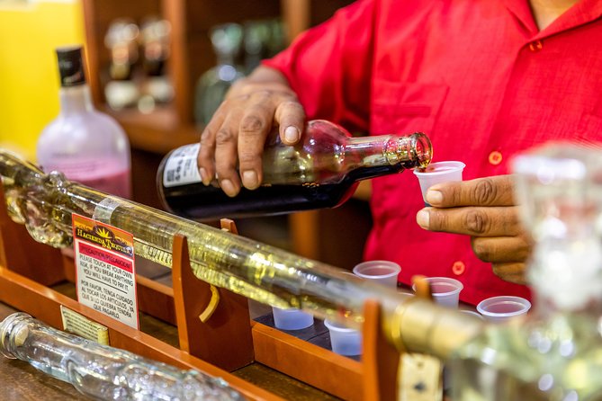 Dinner Cruise Tour in Cabo San Lucas with Tequila Tasting - Buffet dinner on the water: barbecue-style, open bar, and food reality checks