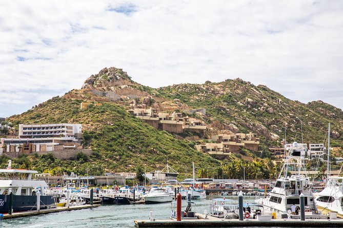 Dinner Cruise Tour in Cabo San Lucas with Tequila Tasting - Price and logistics: does $135 deliver good value?