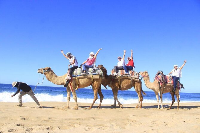 Discover Cabo San Lucas by camel ride - Key Points That Make This Camel Ride Worth Your Time