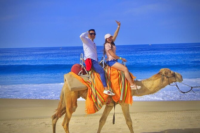 Discover Cabo San Lucas by camel ride - Cabo Camel Ride at CabolandCentro: Meeting Up Without Stress