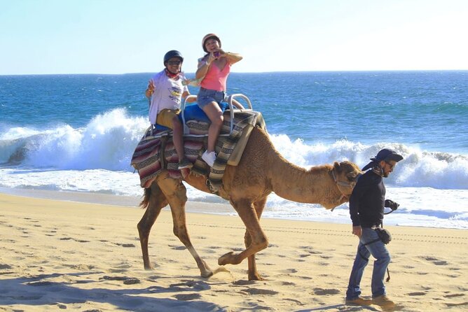 Discover Cabo San Lucas by camel ride - What’s Included: The Stuff That Makes the Price Feel Fair