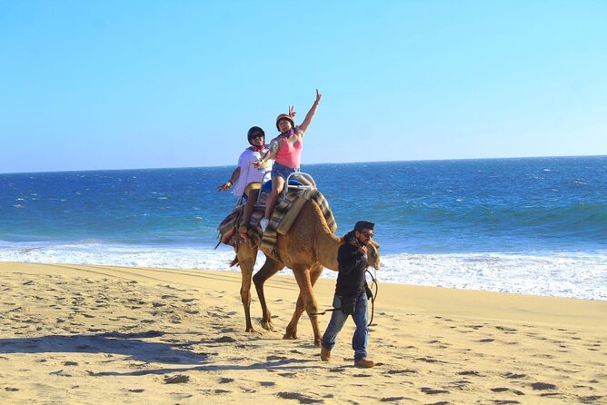 Discover Cabo San Lucas by camel ride - The Guide Factor: Why Small Details Matter (Oscar Gets Mentioned)