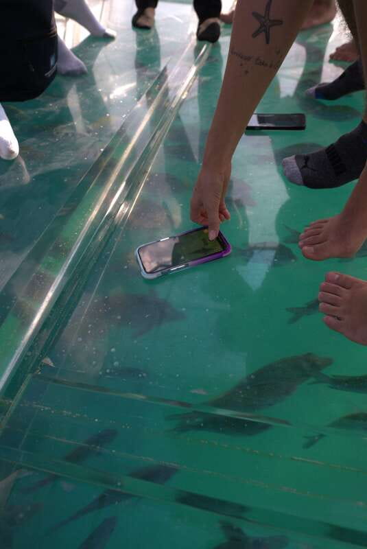 Discover Cabo San Lucas Clear Boat Glass Factory & Tequila - Glass-Bottom Boat Ride to The Arch, Lovers Beach, Divorced Beach, and Sea Lions