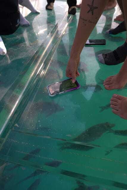 Discover Cabo San Lucas Clear Boat Glass Factory & Tequila - Blown Glass Factory in Cabo: What You Actually See and How to Get More From It
